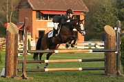 IMG_0010