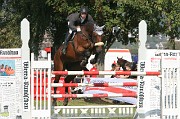 IMG_0041
