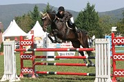 IMG_0006
