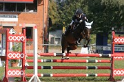 IMG_0003