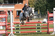 IMG_0005