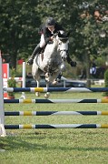 IMG_0019