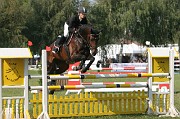IMG_0010