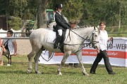 IMG_0001