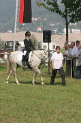 IMG_0005