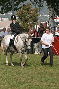 IMG_0012