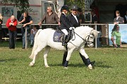 IMG_0026