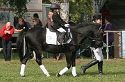 IMG_0027