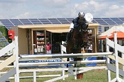 IMG_0012