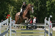 IMG_0010
