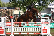 IMG_0008