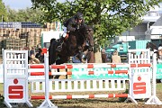 IMG_0019
