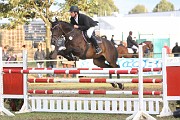 IMG_0065
