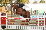 IMG_0079