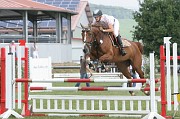 IMG_0006