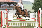 IMG_0010
