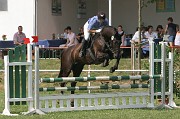 IMG_0032