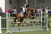 IMG_0036