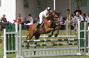 IMG_0046