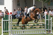 IMG_0065