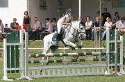 IMG_0067