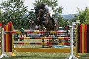 IMG_0010