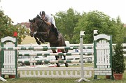 IMG_0041