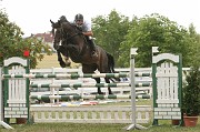 IMG_0049
