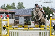 IMG_0017