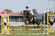 IMG_0010