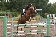 IMG_0020