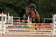 IMG_0031