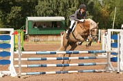 IMG_0016