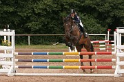 IMG_0041