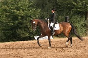 IMG_0048