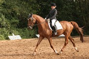 IMG_0067