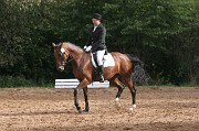 IMG_0181