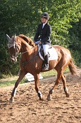 IMG_0052