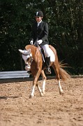 IMG_0008
