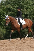 IMG_0056