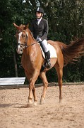 IMG_0066