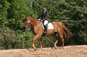 IMG_0068