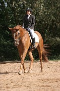 IMG_0071
