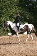 IMG_0008