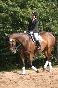IMG_0019