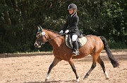 IMG_0064