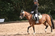 IMG_0065