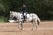IMG_0074
