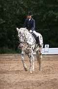 IMG_0077