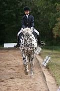 IMG_0093